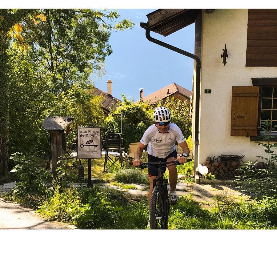 B&B La Forge De Diogne Crans-Montana Kültér fotó